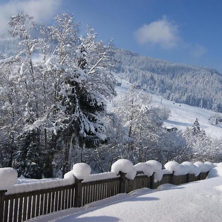 Alpbach Loft Exterior foto